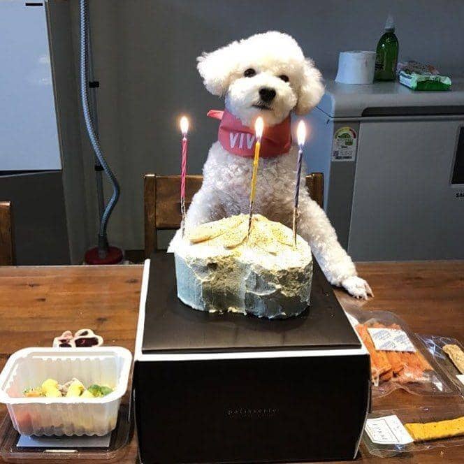 instagram.com/oohsehun