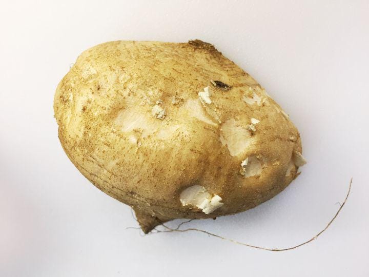 conniefiskfoodadventures.wordpress.com