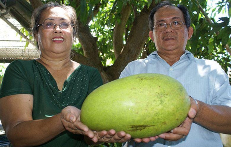 guinnessworldrecords.com