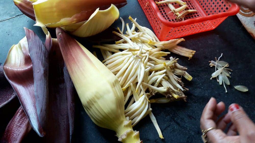 Youtube/Tapasi's Kitchen