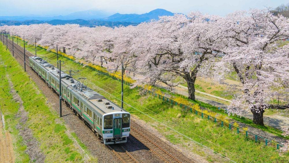 celebritycruises.com