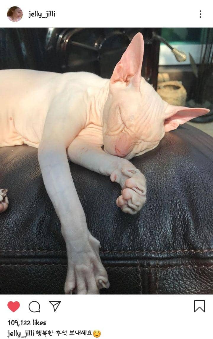 instagram.com/jelly_jilli