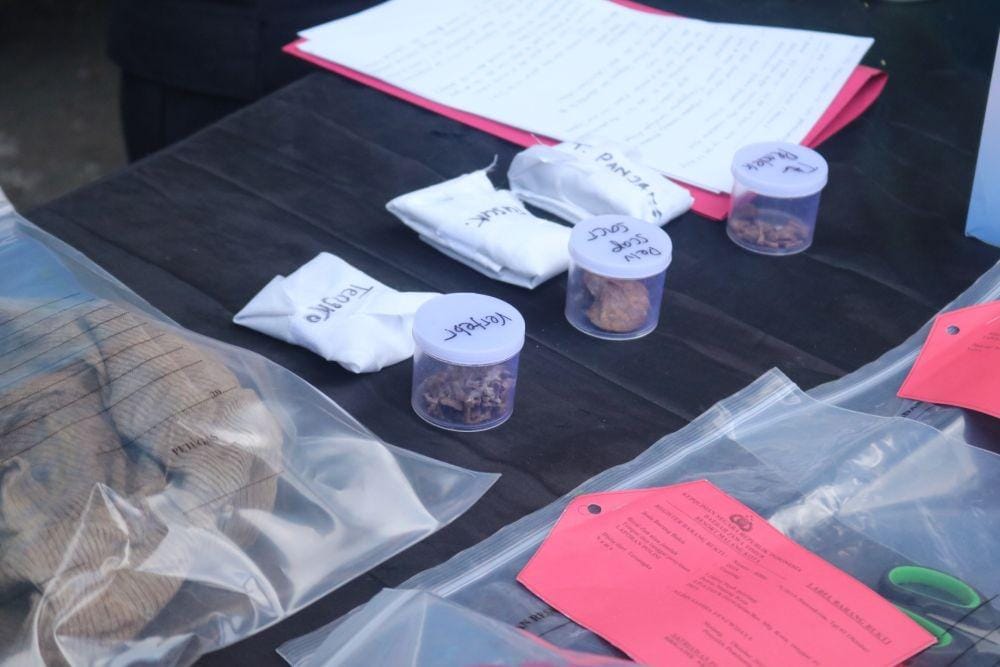 IDN Times/ Alfi Ramadana