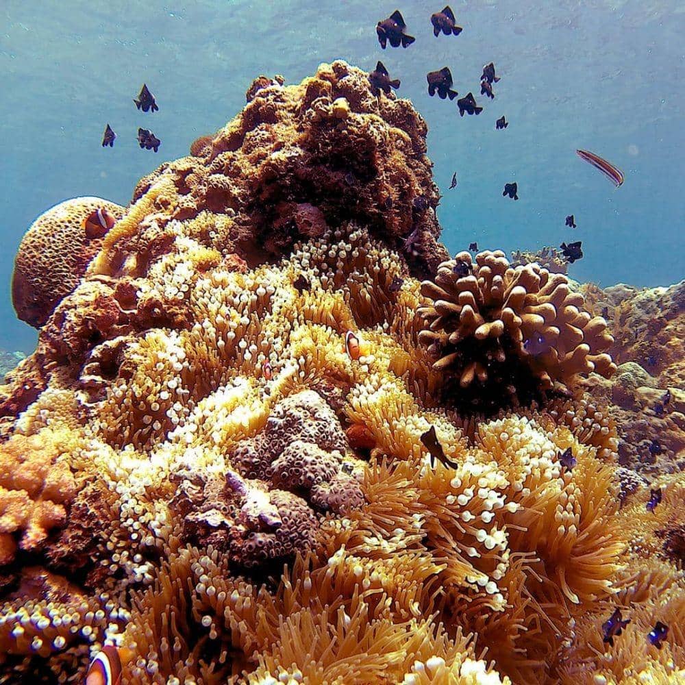 instagram.com/hollywe1rd