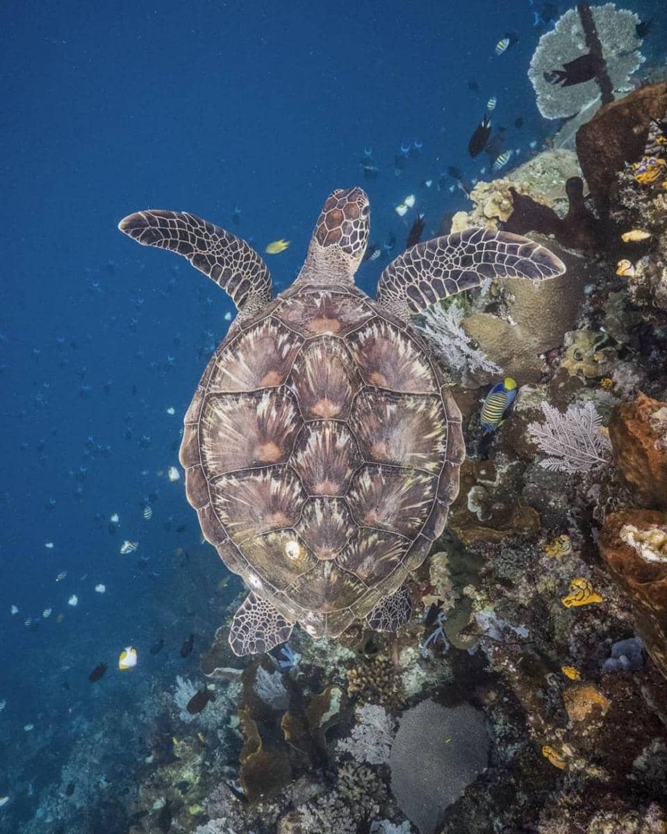 instagram.com/huntingforparadise