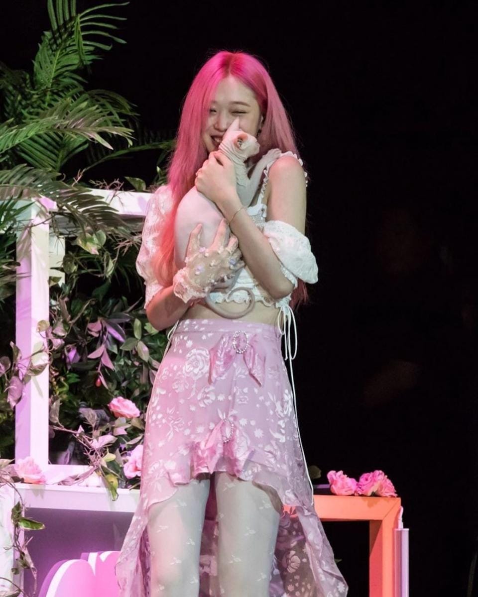 instagram.com/jelly_jilli