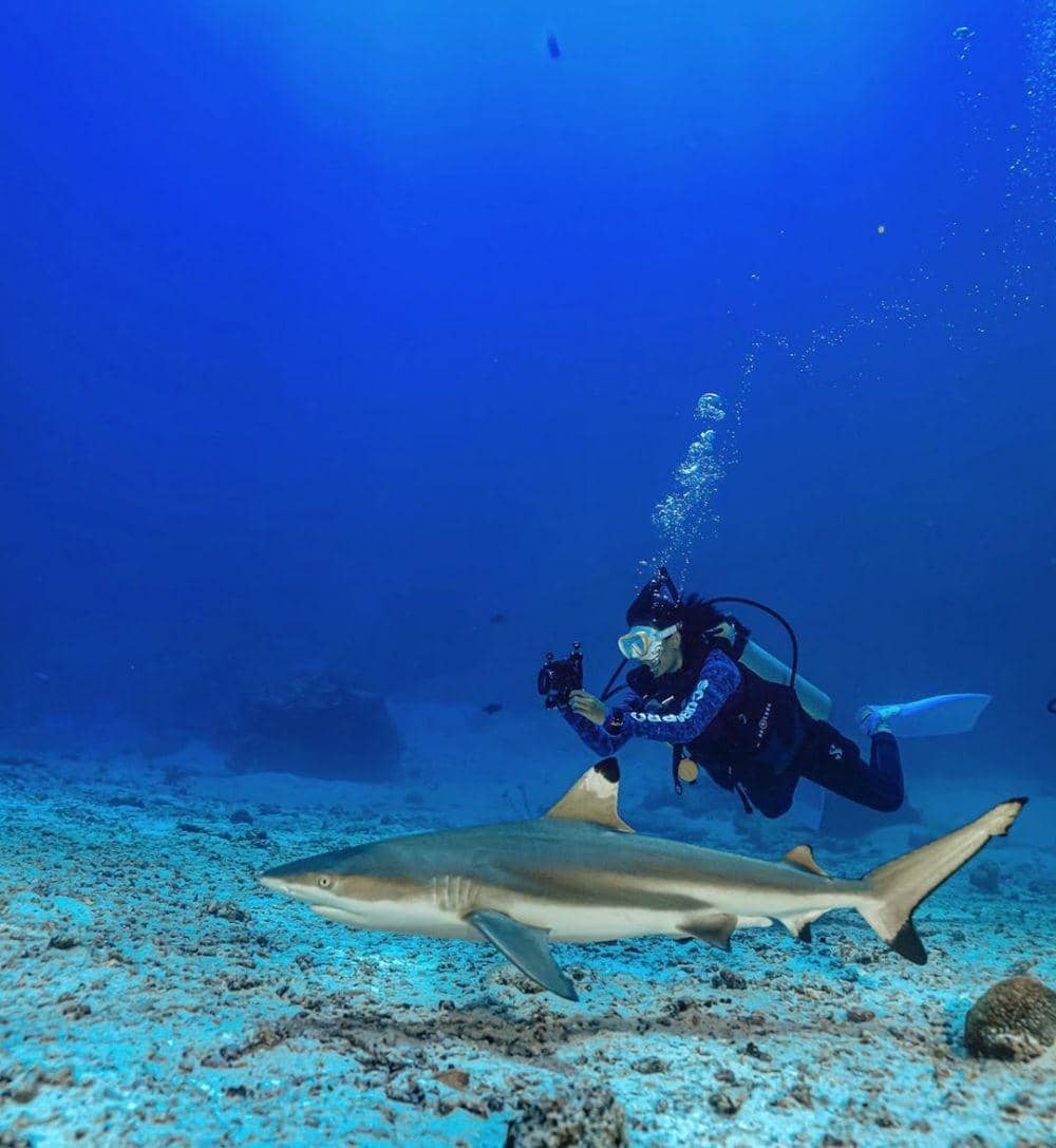 instagram.com/ladysharkkkkk