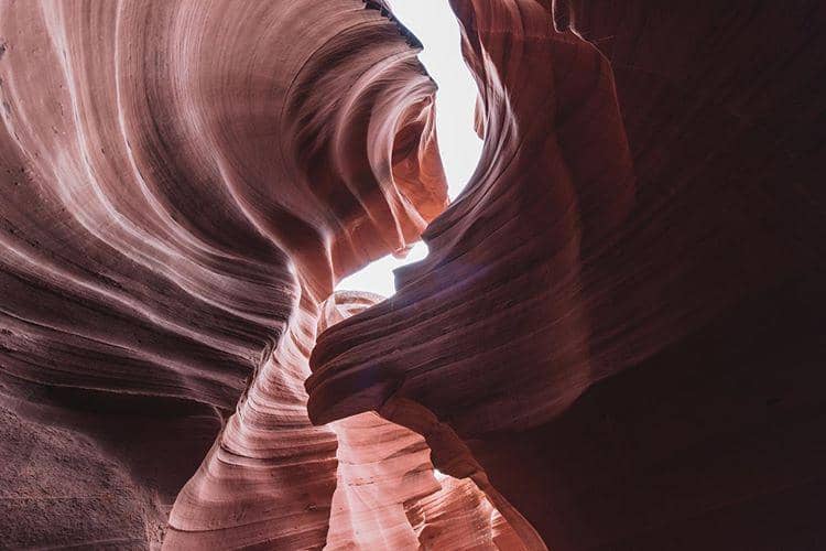 instagram.com/dionwiyoko