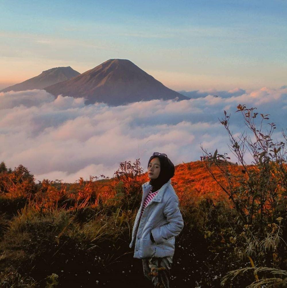 instagram.com/phensopian