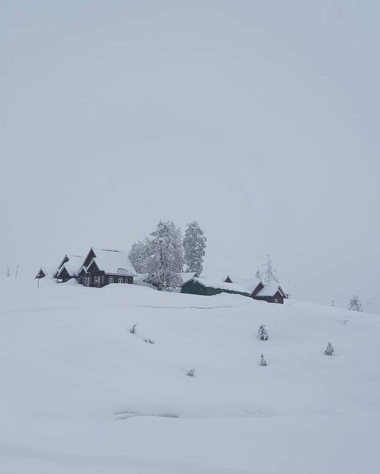 instagram.com/nicholassaputra