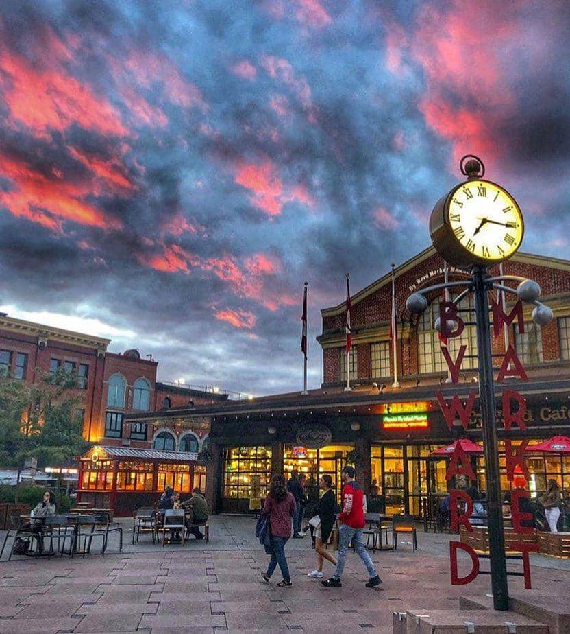 instagram.com/ottawagrapevine