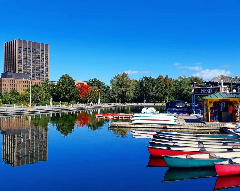 instagram.com/sauerkraut77