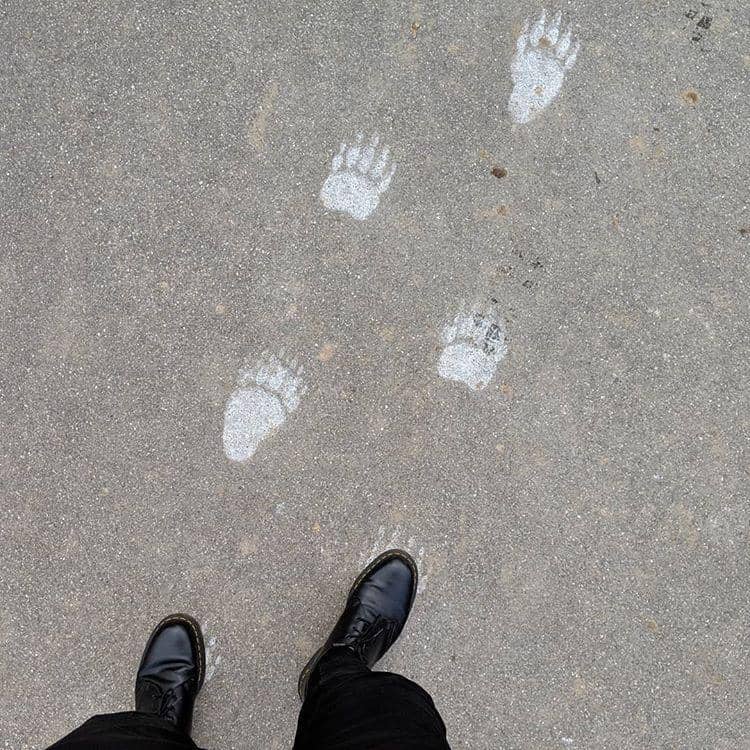 instagram.com/tulusm