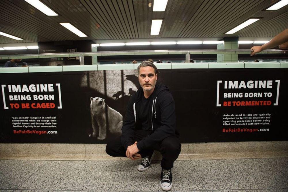 instagram.com/torontopigsave/