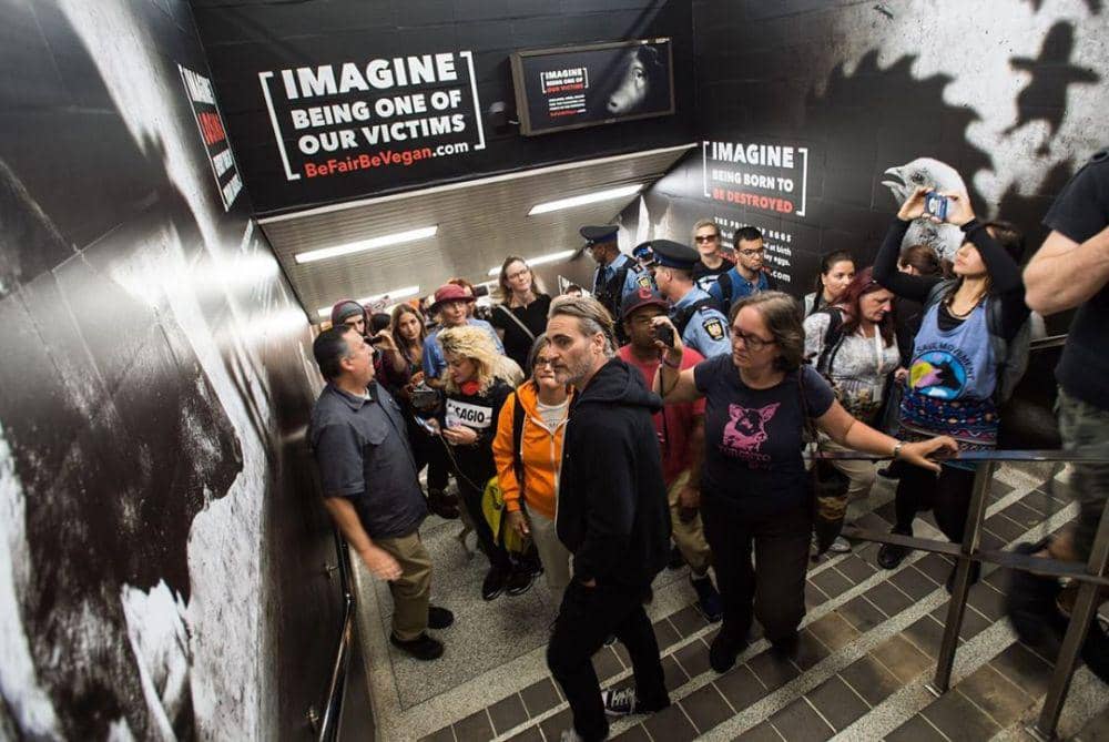 instagram.com/torontopigsave/