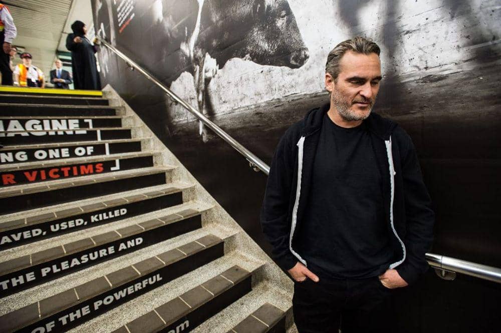 instagram.com/torontopigsave/