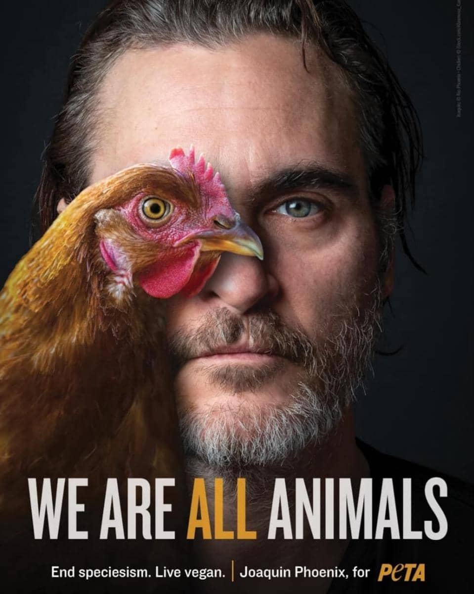 instagram.com/joaquinphoenixv