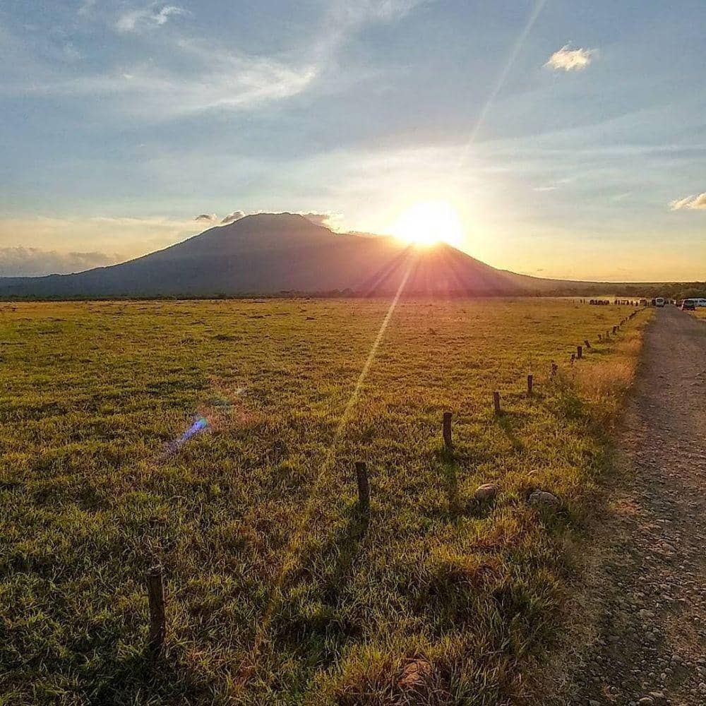 instagram.com/yn.dma