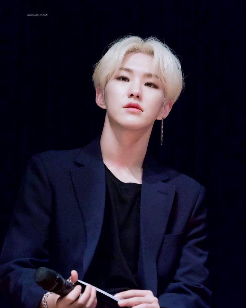 Instagram.com/svt.hoshiii