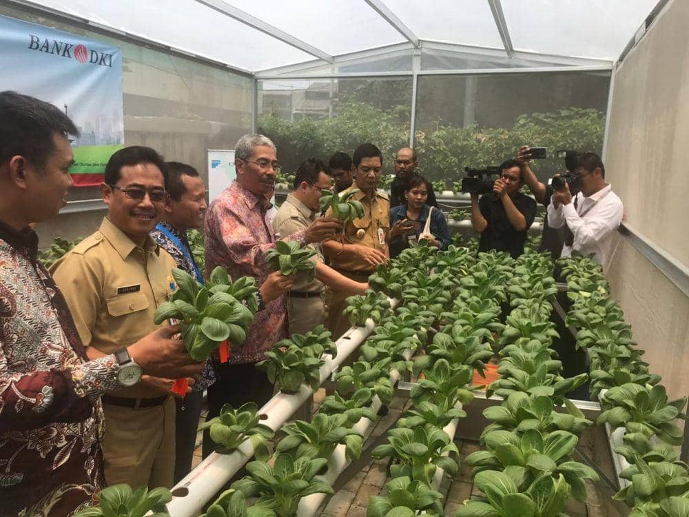 Dok.IDN Times/Istimewa