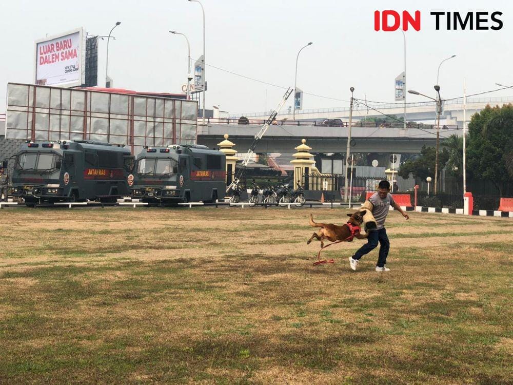 IDN Times/Rangga Erfizal