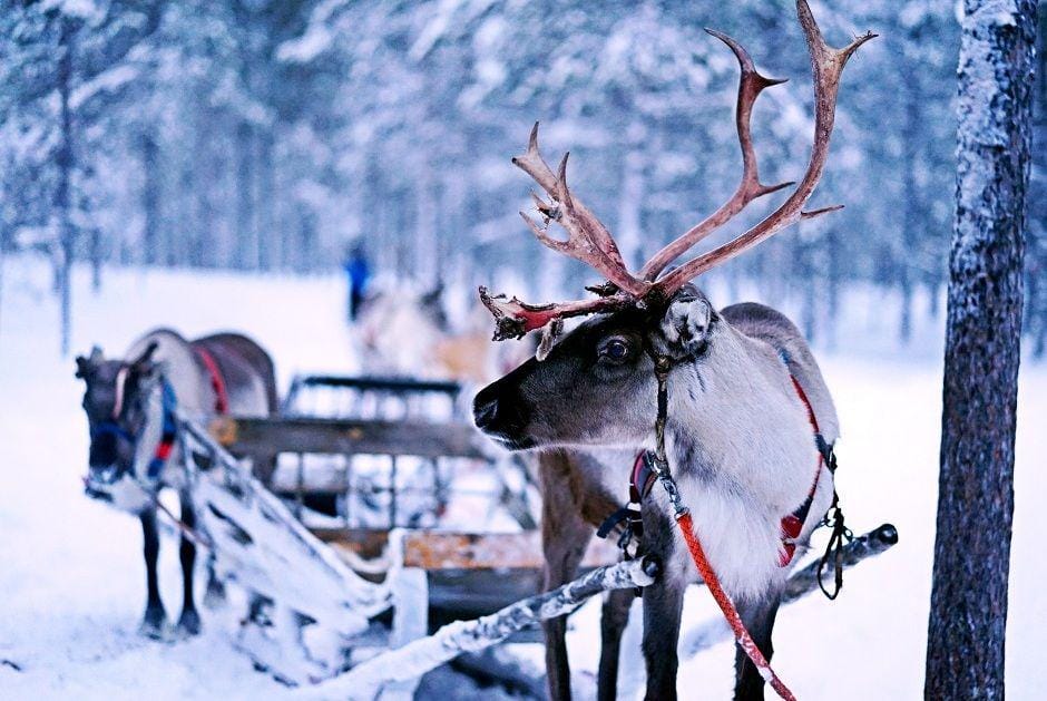 Unsplash/arainbowman