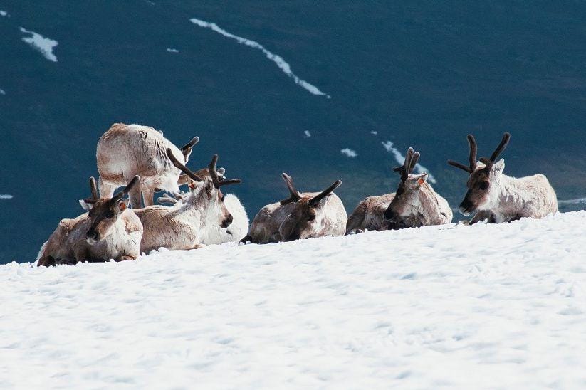 Unsplash/redhatfactory