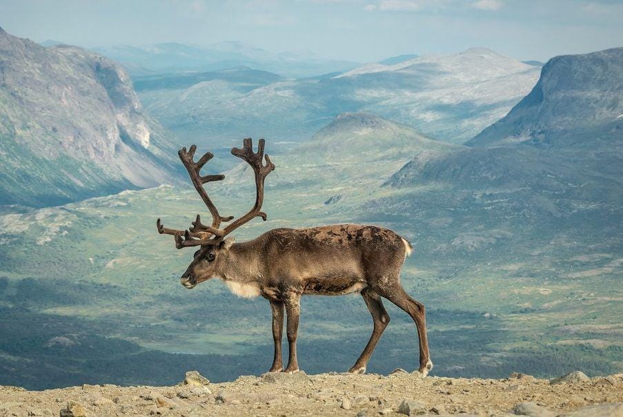 Unsplash/sebastiengoldberg