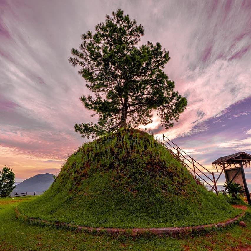 instagram.com/henry.earth via @tamansimalemresort