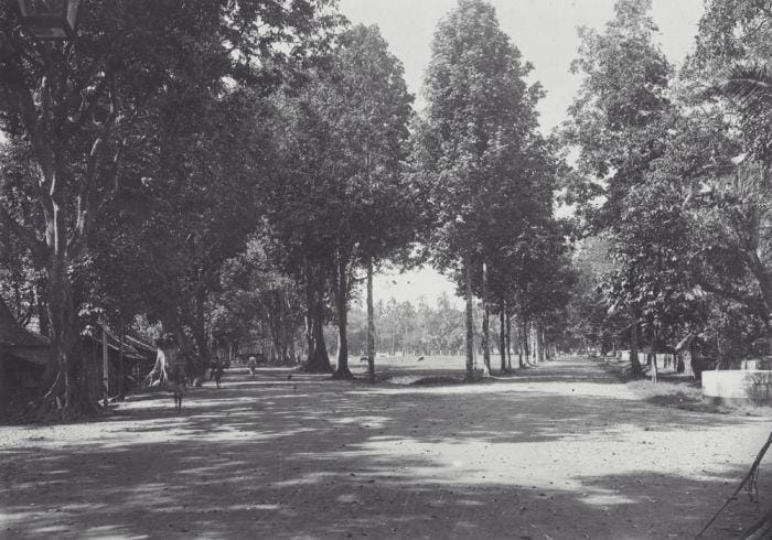 Collectie Tropenmuseum