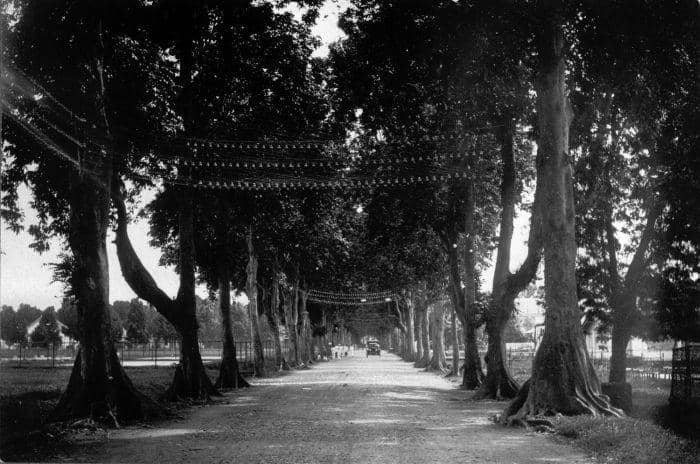 Collectie Tropenmuseum