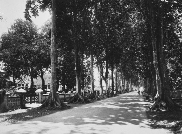 Collectie Tropenmuseum