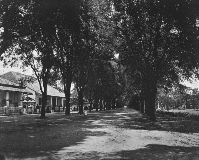 Collectie Tropenmuseum