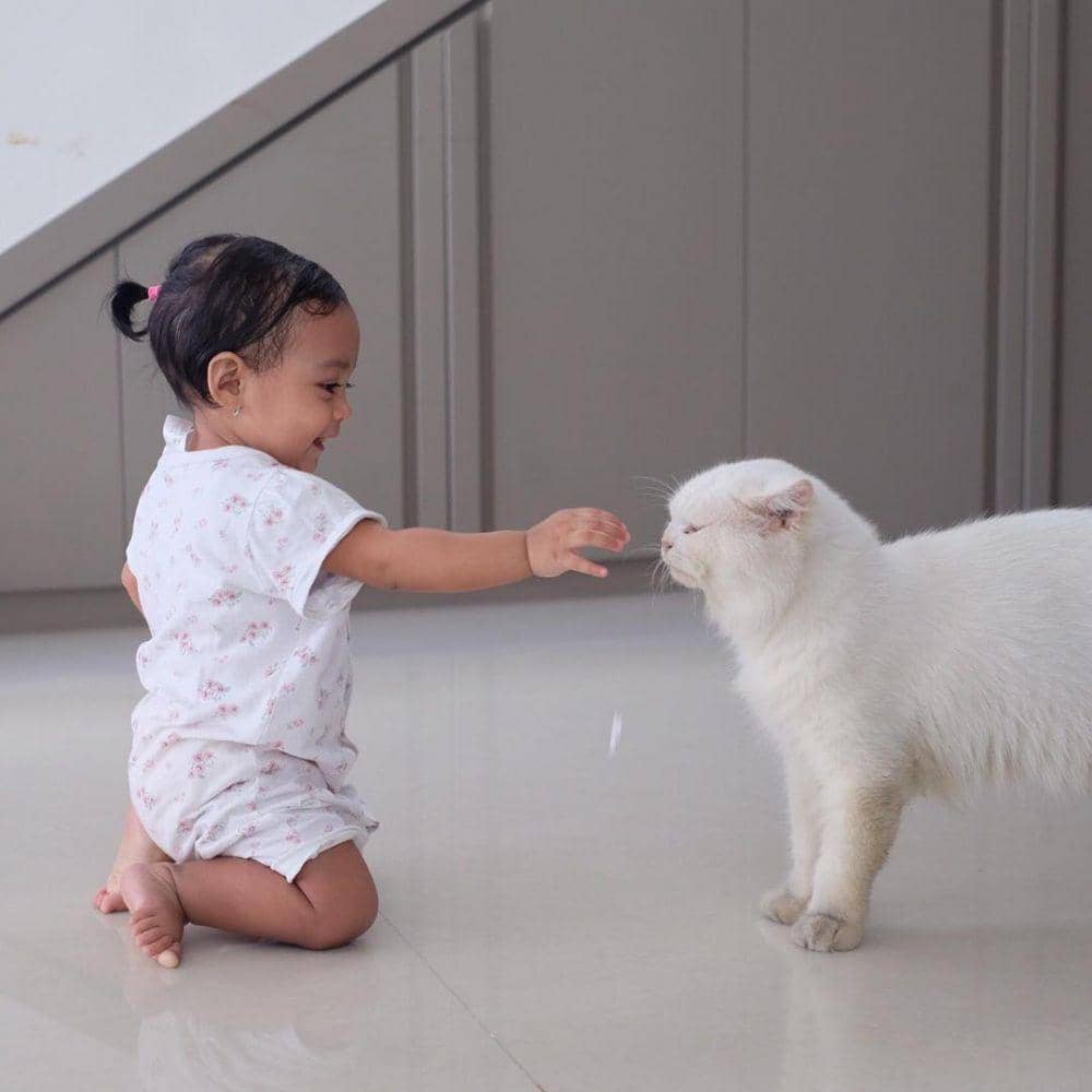 Instagram/teukuwisnu