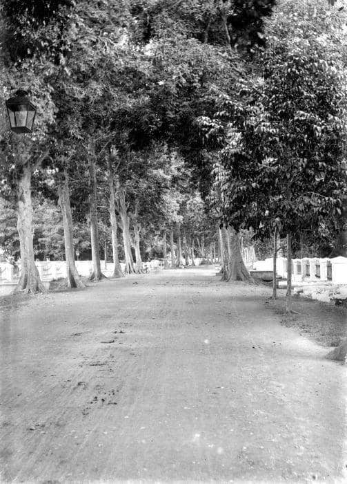 Collectie Tropenmuseum