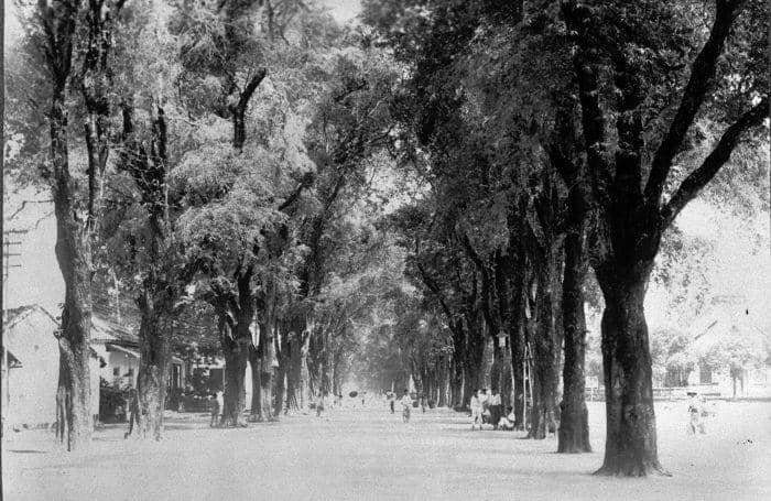 Collectie Tropenmuseum