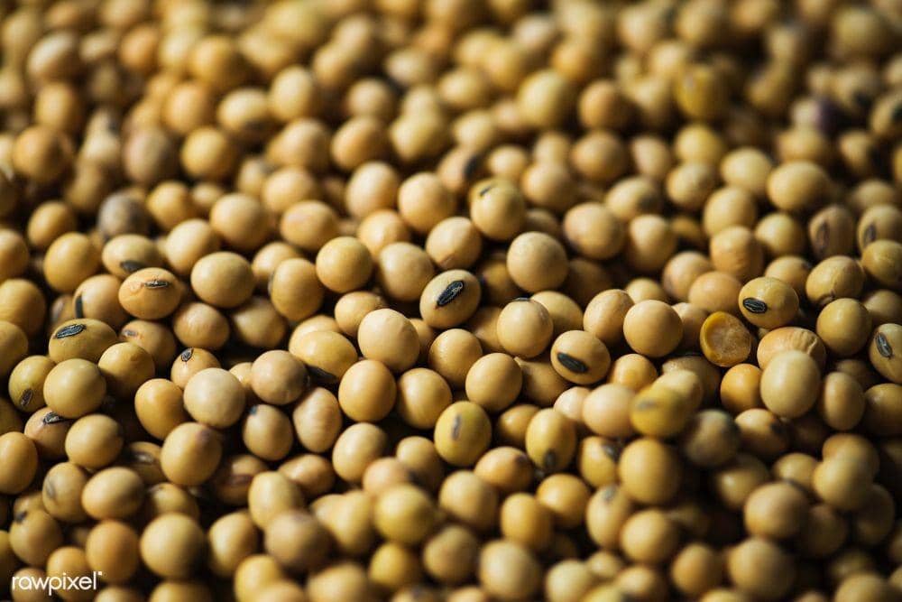 rawpixel.com/Teddy Rawpixel