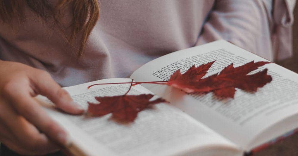 Pexels/David Bortnik