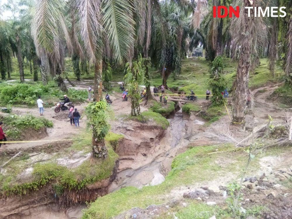 IDN Times/Gideon Aritonang