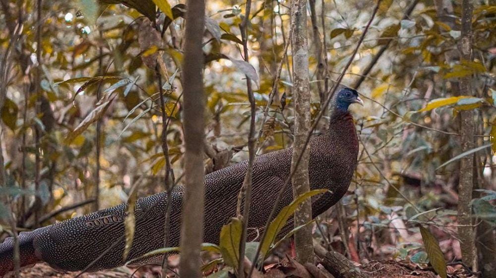 instagram.com/f_hadi