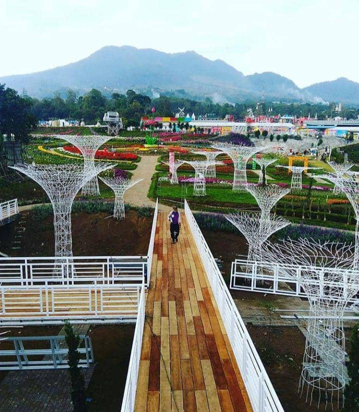 Instagram.com/wisatausa