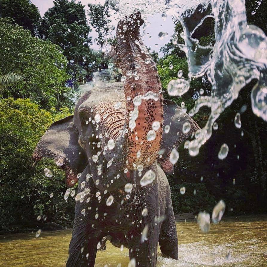 Instagram/nicholassaputra