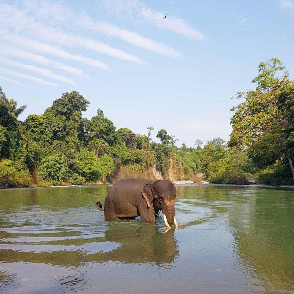 Instagram/nicholassaputra