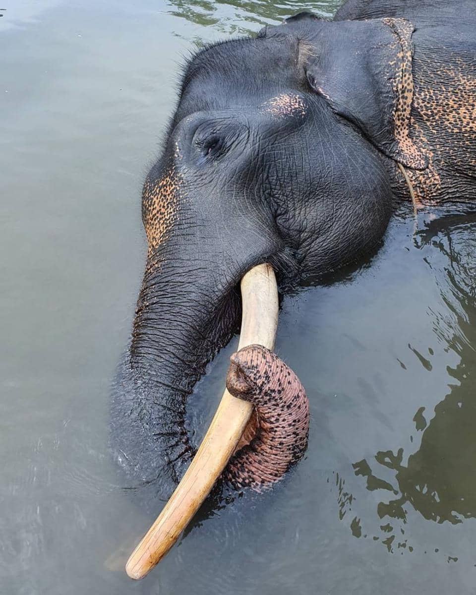 Instagram/nicholassaputra