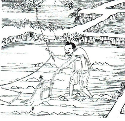 chineseagriculturehistory.weebly.com