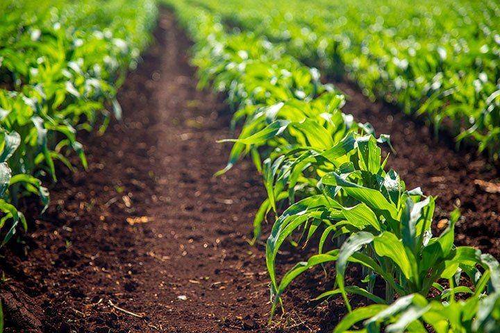 agamerica.com