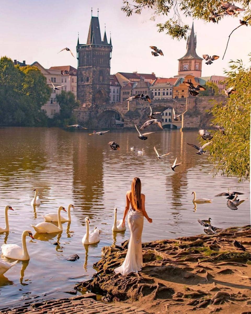 instagram.com/voyagefox_