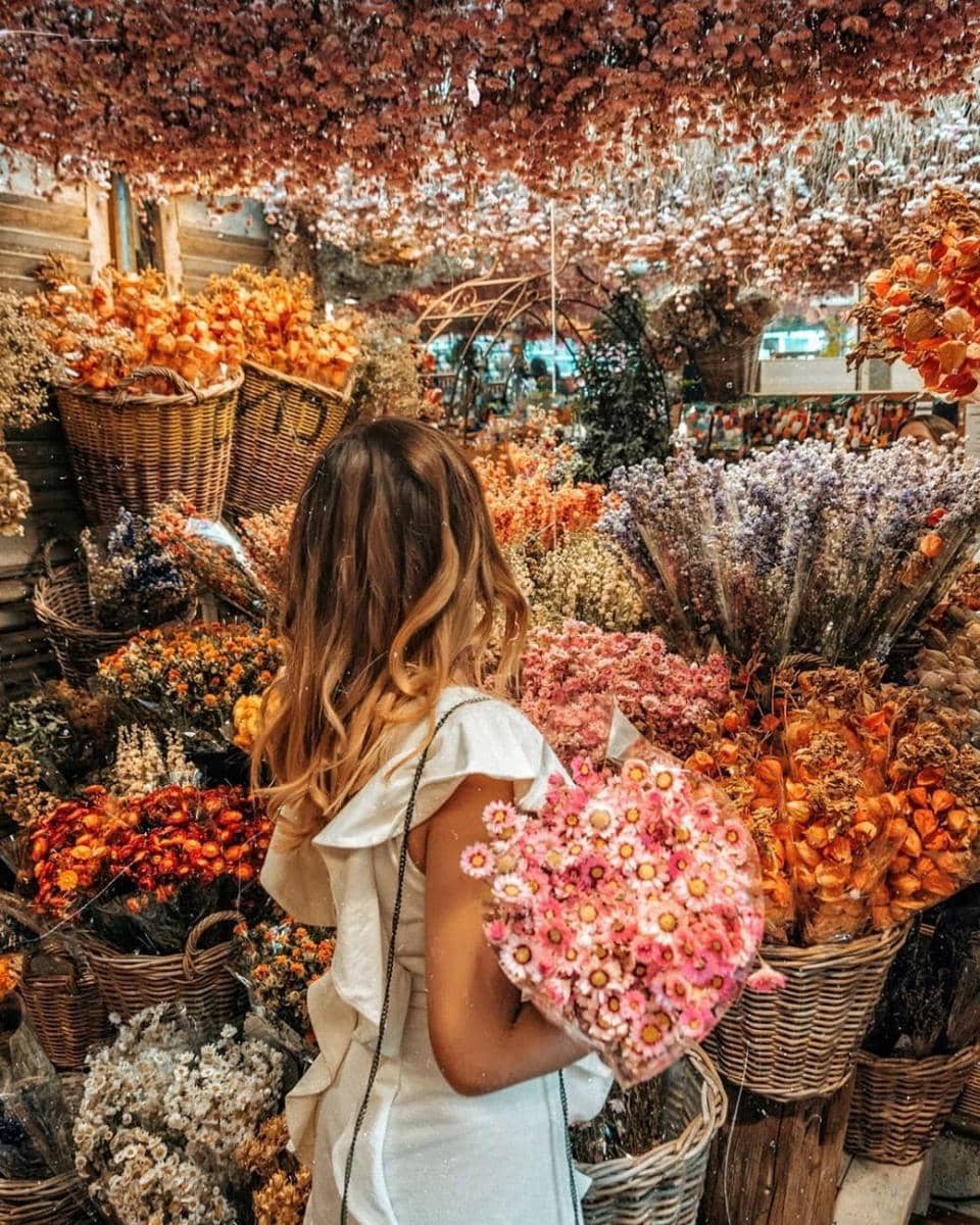 instagram.com/elenaborsch