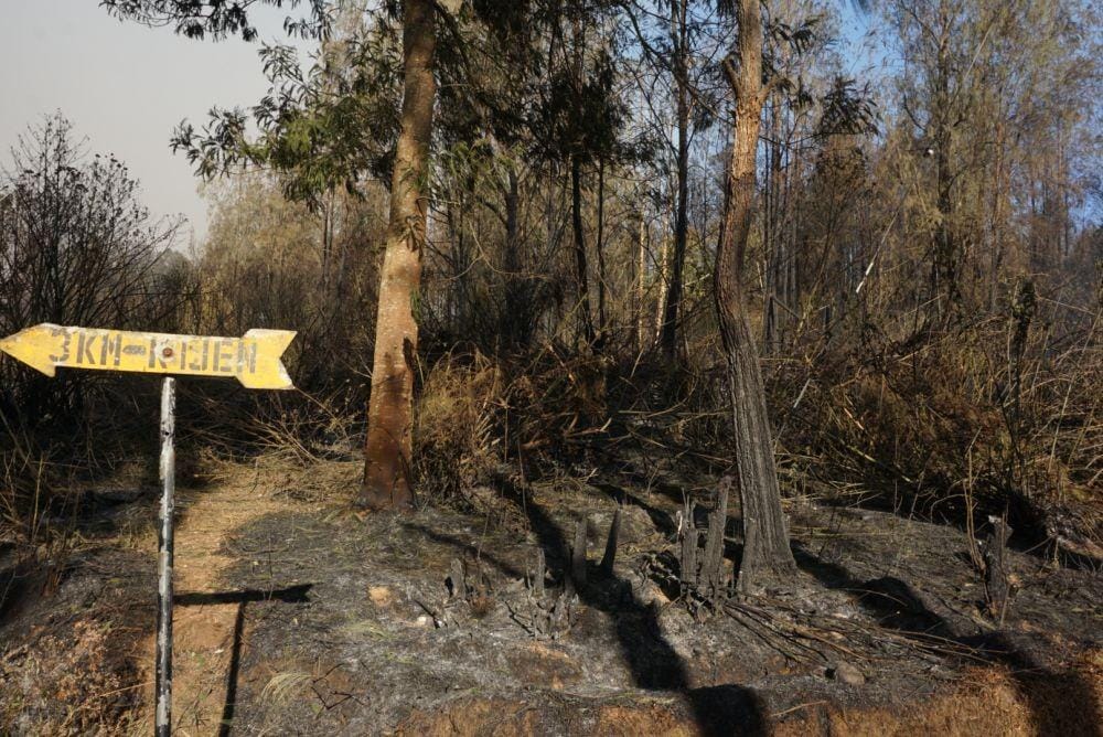 Kebakaran di kawasan Gunung Ijen membuat pendakian ditutup. IDN Times/Mohamad Ulil Albab