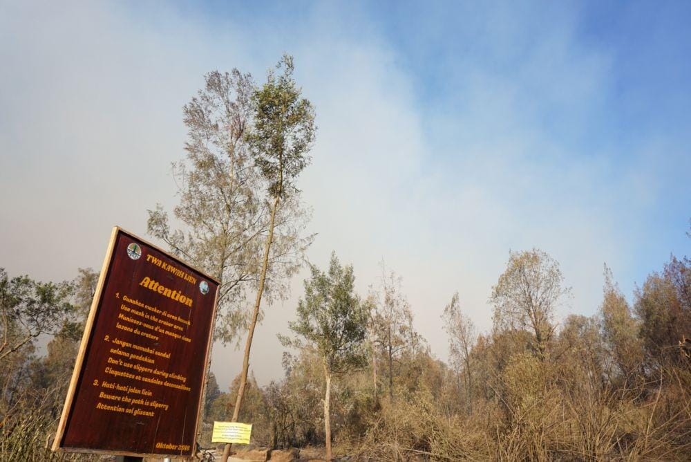 IDN Times/Mohamad Ulil Albab